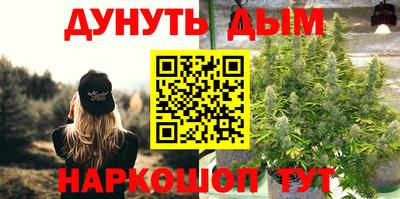 PSILOCYBIN Моздок