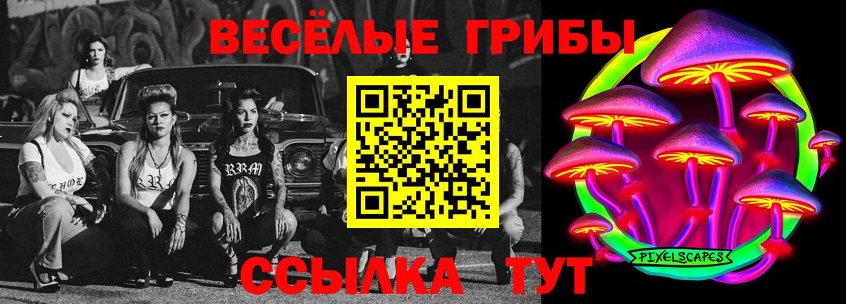 Галлюциногенные грибы Cubensis Славянск-на-Кубани