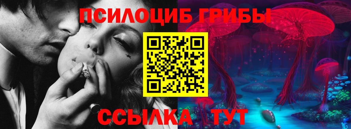 Галлюциногенные грибы Psilocybine cubensis  Галлюциногенные грибы Psilocybe  Вход с VPN  Славянск-на-Кубани 